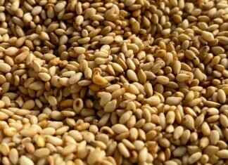 Best Time to Drink Chia Seeds for Weight Loss: The Optimal Strategy Best Time to Drink Chia Seeds for Weight Loss: The Optimal Strategy