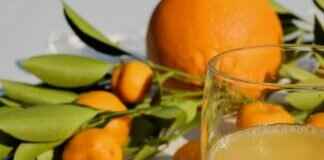 Best Vape Juice Flavors for Fitness Enthusiasts Best Vape Juice Flavors for Fitness Enthusiasts