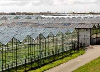 Best Windshield Wipers 2024: Top Picks for Clear Visibility Best Windshield Wipers 2024: Top Picks for Clear Visibility