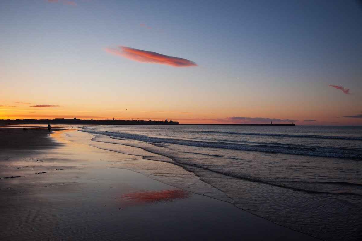 Factors to Consider When Choosing Wipers