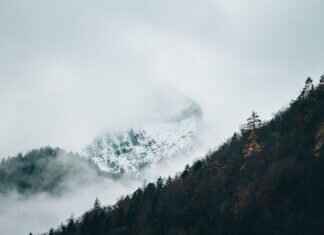 Best Winter Windshield Wipers for Harsh Weather Conditions Best Winter Windshield Wipers for Harsh Weather Conditions