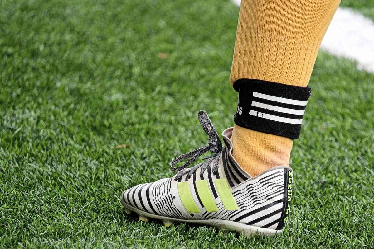 Customer Reviews and Testimonials