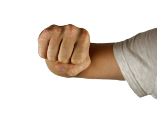 Bewear Pokémon: Battle Tactics, Best Moveset, and Competitive Guide Bewear Pokémon: Battle Tactics, Best Moveset, and Competitive Guide