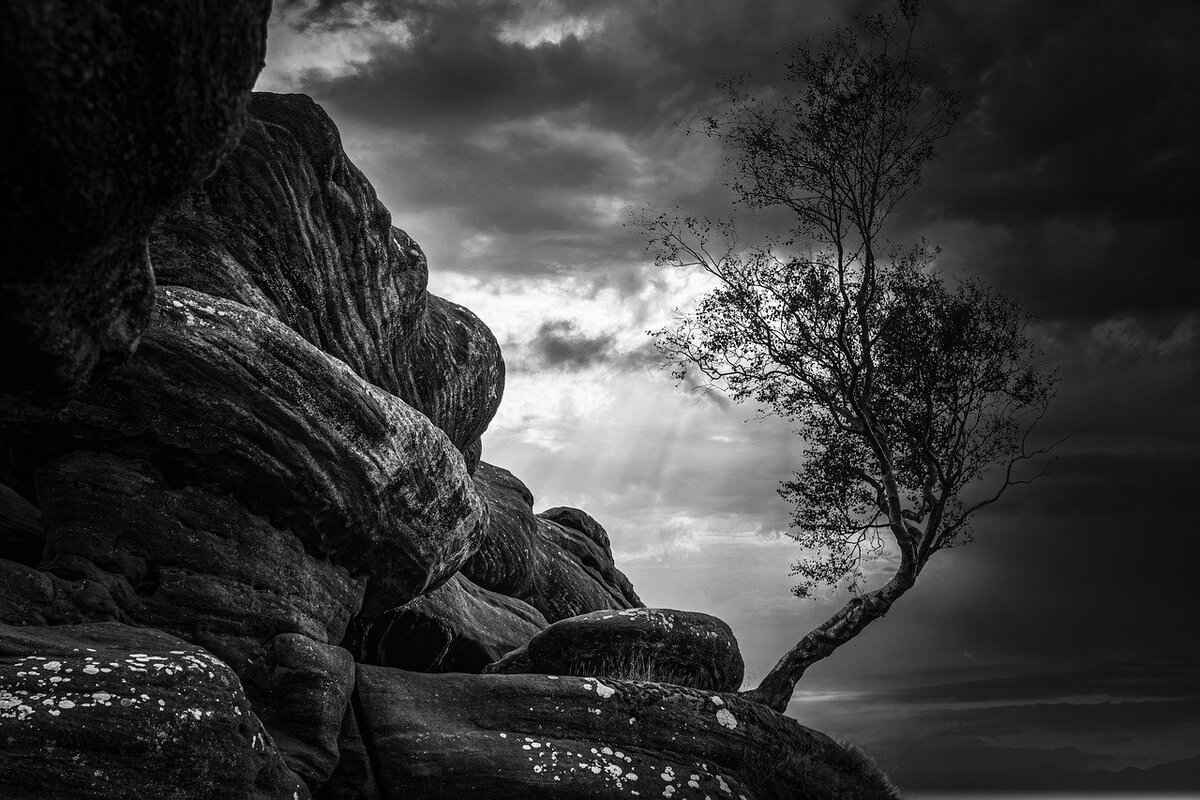 Kara Dul Isırığı Tedavi Yöntemleri