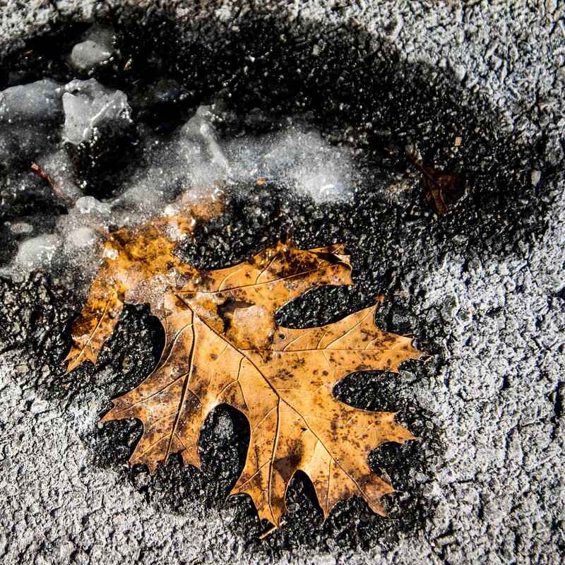 Game Recap: Recent Encounters