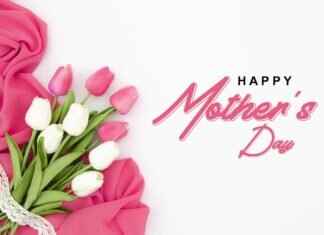 Boy Mom Sweatshirt: Trendy Styles & Where to Buy Boy Mom Sweatshirt: Trendy Styles & Where to Buy