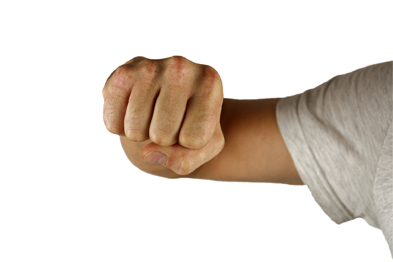 Understanding Braviary: A Comprehensive Overview