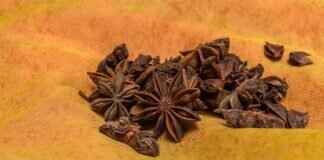 Brawl Stars Battle Log: How to Analyze and Improve Your Gameplay Brawl Stars Battle Log: How to Analyze and Improve Your Gameplay