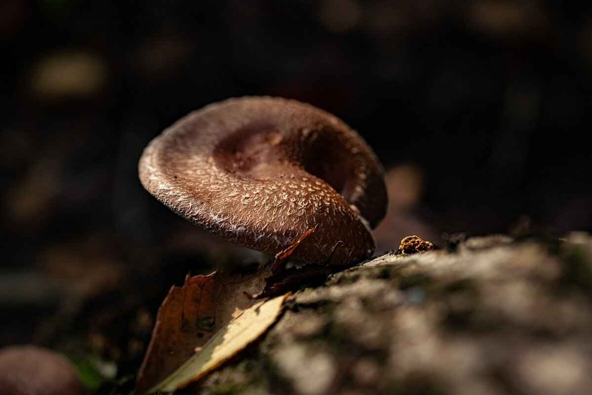 Addressing Myths and Misconceptions