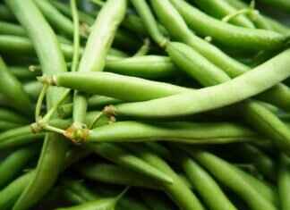 Breaking Taboos: Eva Green’s Most Explicit Sex Scenes in Movies Breaking Taboos: Eva Green’s Most Explicit Sex Scenes in Movies