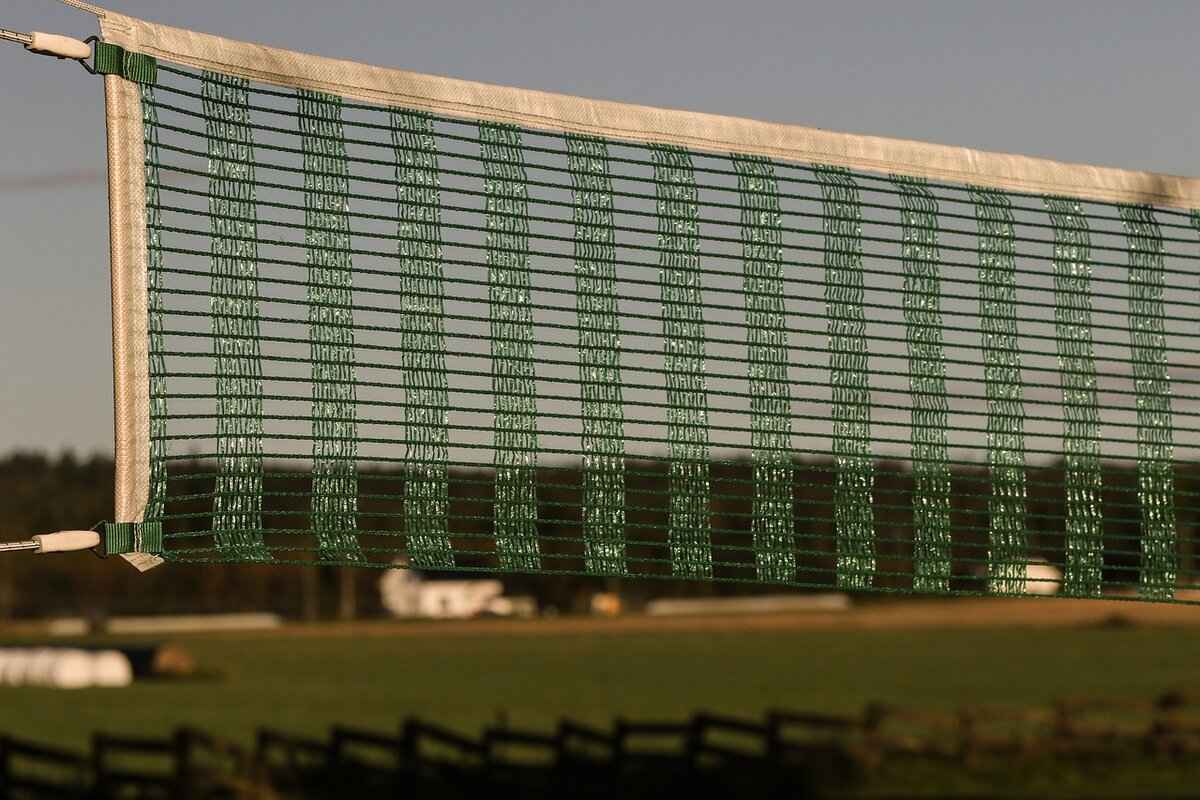 Player Performance Analysis