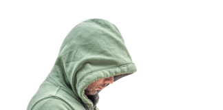 Brute Bonnet Pokémon: Best Moveset, Strengths, and Competitive Play Guide Brute Bonnet Pokémon: Best Moveset, Strengths, and Competitive Play Guide