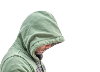 Brute Bonnet Pokémon: Best Moveset, Strengths, and Competitive Play Guide Brute Bonnet Pokémon: Best Moveset, Strengths, and Competitive Play Guide