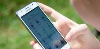 Bruxish Pokémon: Evolution, Best Moves, and Competitive Play Tips Bruxish Pokémon: Evolution, Best Moves, and Competitive Play Tips