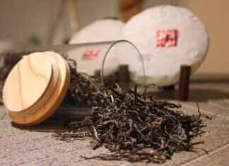 Bubble Tea vs. Traditional Asian Herbal Teas: Which is Healthier? Bubble Tea vs. Traditional Asian Herbal Teas: Which is Healthier?