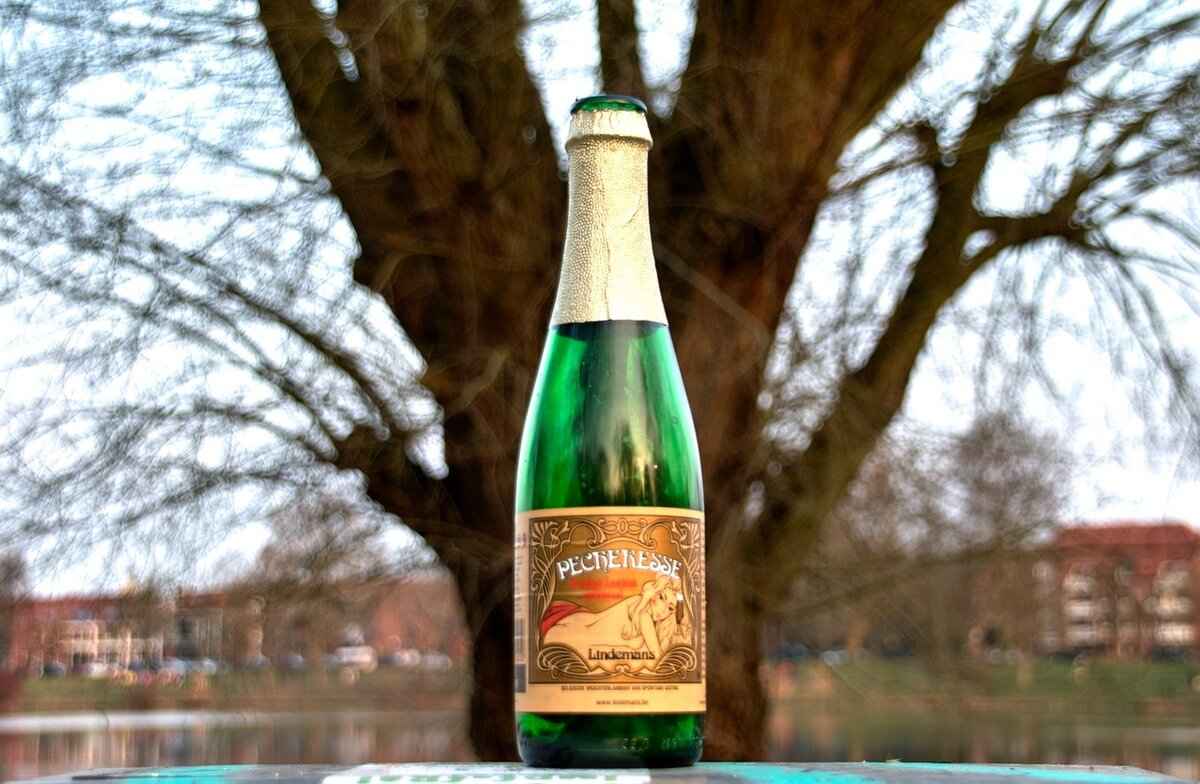 Bubbly Wine: The Best Sparkling Wines for Every Occasion 2 Types of Sparkling Wines