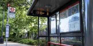 BUC Newsletter: Latest Updates & What to Expect BUC Newsletter: Latest Updates & What to Expect