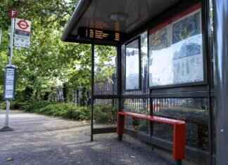 BUC Newsletter: Latest Updates & What to Expect BUC Newsletter: Latest Updates & What to Expect