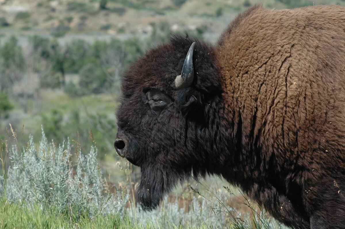 Game Highlights and Turning Points