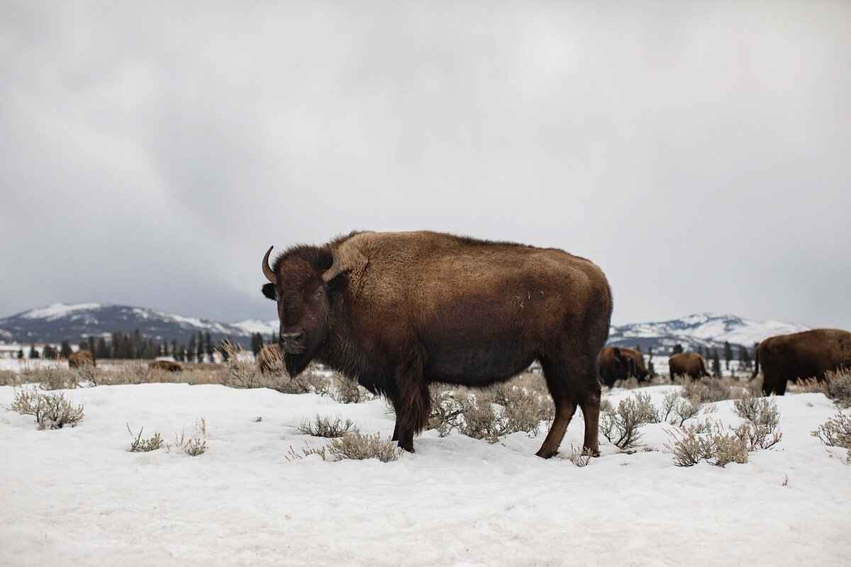 Running Backs: Devin Singletary vs. Breece Hall