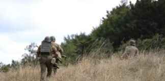 Buneary Pokémon Battle Tactics, Best Items, and Counters in Pokémon Games Buneary Pokémon Battle Tactics, Best Items, and Counters in Pokémon Games