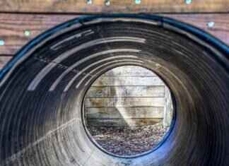 Burmy Pokémon Weaknesses, Best Counters, and Strategies for Ranked Matches Burmy Pokémon Weaknesses, Best Counters, and Strategies for Ranked Matches