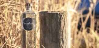 Burnetts: Best Flavors and How to Make Great Cocktails with It Burnetts: Best Flavors and How to Make Great Cocktails with It