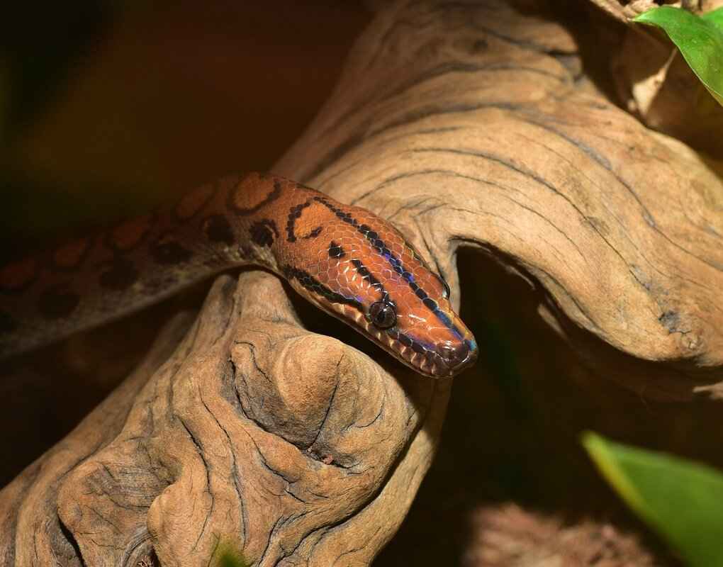 Personal Life & Public Image