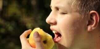 Can a Small Dog Have a Strong Bite? Surprising Facts Can a Small Dog Have a Strong Bite? Surprising Facts