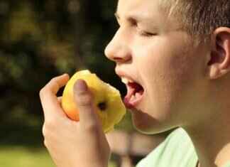 Can a Small Dog Have a Strong Bite? Surprising Facts Can a Small Dog Have a Strong Bite? Surprising Facts