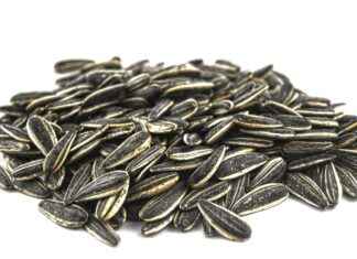 Can Babies Have Chia Seeds? What Parents Need to Know Can Babies Have Chia Seeds? What Parents Need to Know