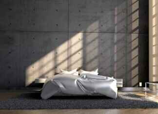 Yatak Böcekleri Köpekleri Isırır mı? Belirtileri Tanıma ve Tedavi Etme Yatak Böcekleri Köpekleri Isırır mı? Belirtileri Tanıma ve Tedavi Etme