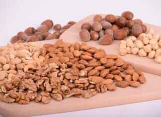 Can Birds Eat Chia Seeds? Safe or Harmful for Your Feathered Friends? Can Birds Eat Chia Seeds? Safe or Harmful for Your Feathered Friends?