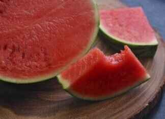 Can Dogs Eat Chia Seeds? Pros and Cons for Pets Can Dogs Eat Chia Seeds? Pros and Cons for Pets