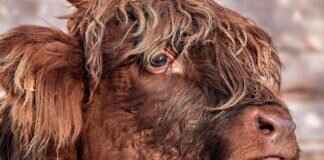 Can I Appeal a Court Decision? Can I Appeal a Court Decision?