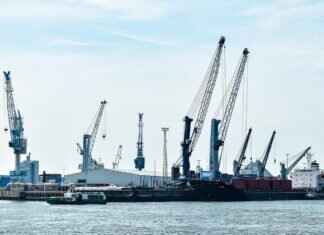 Can I Get Compensation If I’m Wrongfully Fired? Can I Get Compensation If I’m Wrongfully Fired?