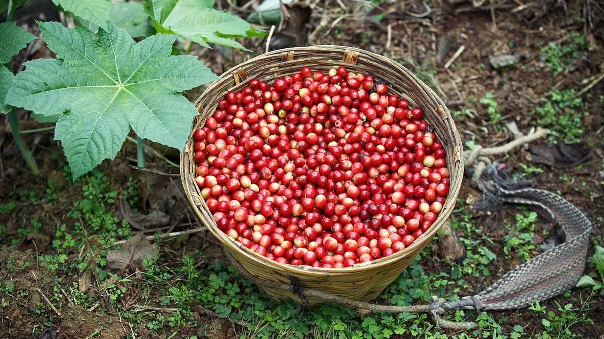 Can I Present My Spouse's Phone Records as Evidence in Divorce Court? 4 Privacy Concerns and Legal Implications