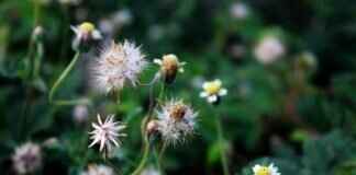 Can I Reject an Inheritance? Can I Reject an Inheritance?