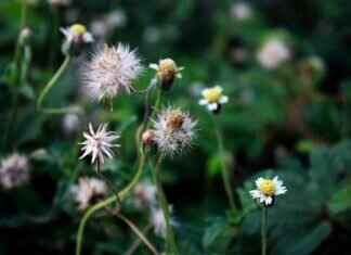 Can I Reject an Inheritance? Can I Reject an Inheritance?