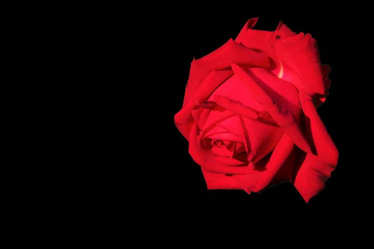 Reasons to Reject an Inheritance