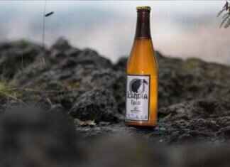 Can I Return a Defective Product? Can I Return a Defective Product?