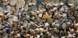 Can You Go to Jail for Unpaid Debts? Can You Go to Jail for Unpaid Debts?