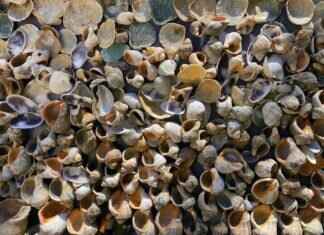 Can You Go to Jail for Unpaid Debts? Can You Go to Jail for Unpaid Debts?