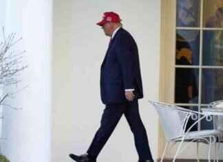 Capitulation to Trump: A Dangerous Contributor capitulation-to-trump-a-dangerous-contributor