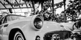 Car Windshield Wipers: Everything You Need to Know Before Buying Car Windshield Wipers: Everything You Need to Know Before Buying