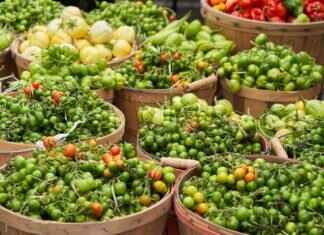 CBD Shops Near Me: Where to Buy the Best CBD Products in the US CBD Shops Near Me: Where to Buy the Best CBD Products in the US