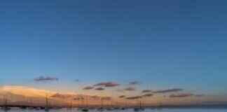 Çeciir: The Meaning Behind This Trending Term Çeciir: The Meaning Behind This Trending Term