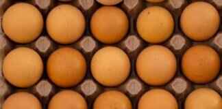 Century Eggs: How They Are Made & Why People Love Them Century Eggs: How They Are Made & Why People Love Them