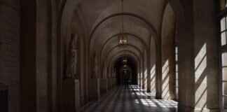 Chandelure Pokémon: Battle Tactics, Best Moveset, and Counters Chandelure Pokémon: Battle Tactics, Best Moveset, and Counters