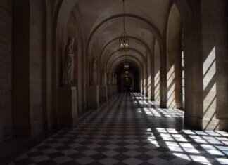 Chandelure Pokémon: Battle Tactics, Best Moveset, and Counters Chandelure Pokémon: Battle Tactics, Best Moveset, and Counters